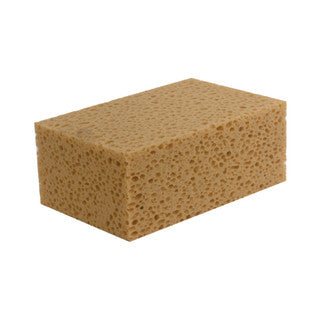 Maurerschwamm